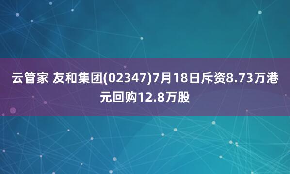 云管家 友和集团(02347)7月18日斥资8.73万港元回购12.8万股