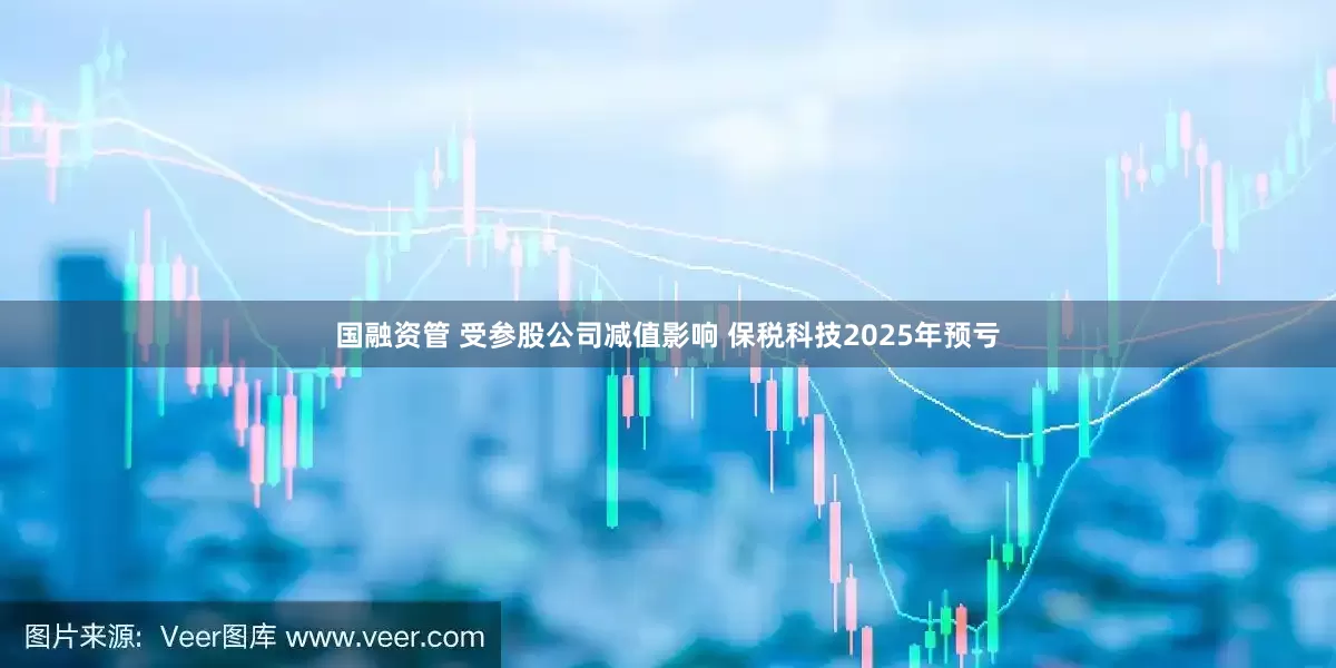 国融资管 受参股公司减值影响 保税科技2025年预亏